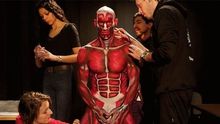 澳教授用人体彩绘讲授解剖 视觉效果强烈