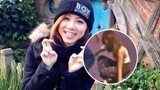 上瘾-电视剧-正版口才视频全集-爱奇艺高清电视剧图片