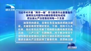 习近平对开展“两学一做”学习教育做出重要指示资讯搜索最新资讯爱奇艺