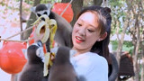 《中国新歌声2》番外：叶炫清与猴共舞成猴妈