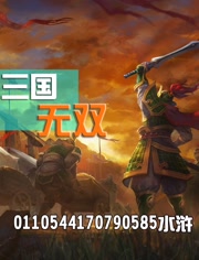 三国无双
