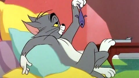 猫和老鼠全集 1集