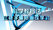 建立独立的家庭教育文化 第1讲 建立独立的家庭教育文化知识名师课堂爱奇艺