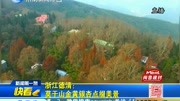 浙江德清:莫干山金黄银杏点缀美景资讯高清正版视频在线观看–爱奇艺