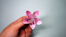 2分钟学会折纸美丽的樱花