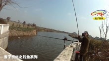 黑坑钓鱼诱鱼窝料制作方法-旅游-高清正版视频