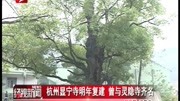 杭州显宁寺明年复建 曾与灵隐寺齐名资讯高清正版视频在线观看–爱奇艺