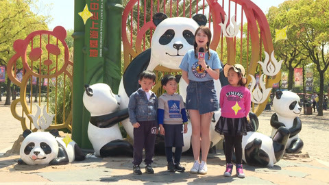 五一去野生动物园看熊猫啦