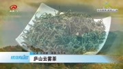 庐山云雾茶资讯高清正版视频在线观看–爱奇艺