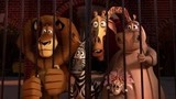 马达加斯加3（片段）马戏团营救行动开始