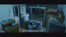 野火短剧视频，燃烧的创意与无尽的魅力