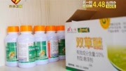 农一网:新模式惠农利农 助农增收致富资讯高清正版视频在线观看–爱奇艺