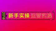 2018拼多多新手实操运营实操 拼多多新手操作开车不翻车知识名师课堂爱奇艺