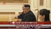  文在寅与金正恩在平壤举行会谈资讯高清正版视频在线观看–爱奇艺