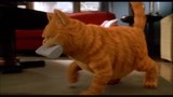 加菲猫拿电视遥控器的技术一看就是个电视迷了