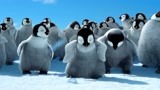 小企鹅跟着老师学唱歌把冰柱子都给唱掉下来了