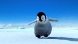 只要有梦想短腿的企鹅也是可以跳好踢踏舞的