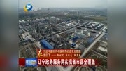 辽宁政务服务网 实现省市县全覆盖资讯高清正版视频在线观看–爱奇艺