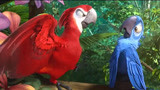 里约大冒险续集，蓝色金刚鹦鹉重回丛林，和红鹦鹉产生矛盾
