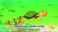 一只小乌龟