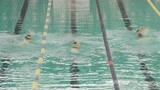 《守护神之保险调查》女子百米自由泳 恭喜中国女将喜提冠军