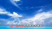 杨钰莹  因为有你 MTV音乐背景音乐视频音乐爱奇艺