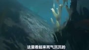 荒岛求生47:追击深海巨鳗,浮上来感觉身轻如燕