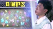 《最强大脑之燃烧吧大脑第2季》第20190222期谢宗奕成功获第一,北大宋一骜呢?郭采洁心系凡正阳显焦急!综艺节目完整版视频在线观看爱奇艺