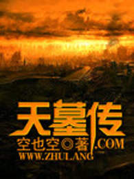 天墓传