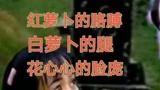 电视剧《康德第一保镖传奇》主题曲