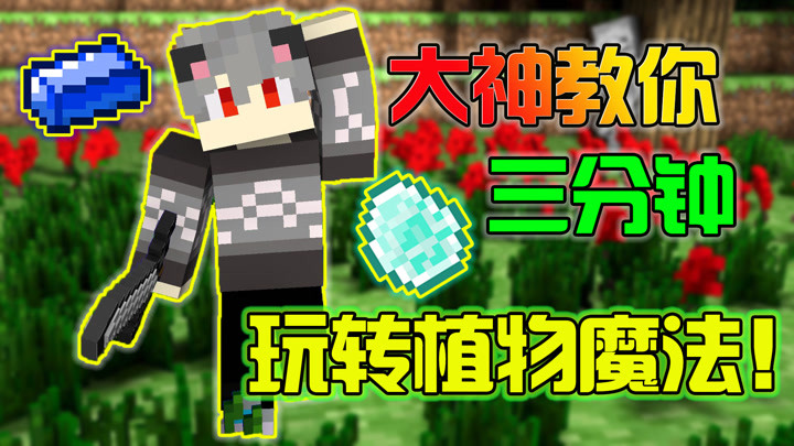 cool星芸
