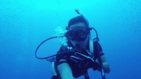 Watch the latest Diving in Koh Tao Episode 1 (2019) online with English subtitle for free English Subtitle