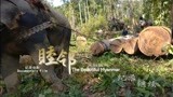 雨林中的寻象之旅，系列纪录片《睦邻.缅甸》精彩片花预览
