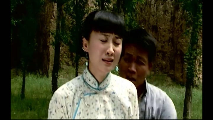 山菊花-电视剧-全集高清正版视频-爱奇艺