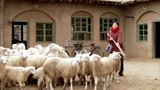 温州一家人：为能看到麦狗，禾禾突发奇想要上学，赶羊逼迫父亲