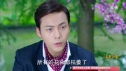 活色生香:魔王岭惊现花瘟,宁致远怒砸花神庙,得罪花神片花高清完整版视频在线观看–爱奇艺