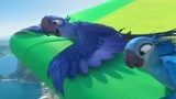 里约大冒险：公蓝鸟准备学会飞翔，结果却笑料百出，还是没学会飞