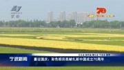 喜迎国庆:彩色稻田画献礼新中国成立70周年资讯高清正版视频在线观看–爱奇艺