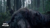 荒野猎人：小李子被大棕熊推到，开口狂咬这一段太吓人了