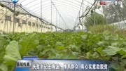 扶贫书记王海波:情系群众 真心实意助脱贫资讯搜索最新资讯爱奇艺