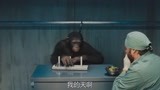 猩球崛起：猩猩在做汉诺塔游戏，威尔过来视察后，一脸不可思议