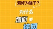 三十秒告诉你为什么墙面要挂网?生活完整版视频在线观看爱奇艺