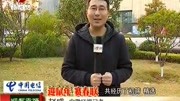 安徽“迎鼠年,赛春联”活动结束,十佳春联已揭晓时尚完整版视频在线观看爱奇艺