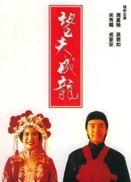 線上看 望夫成龍 (1990) 帶字幕 中文配音，國語版 電影