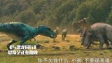 与恐龙同行：食草恐龙对食肉恐龙的反击，生死一战！
