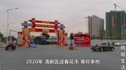 2020年清远市清新区迎春花市,精彩抢鲜看,等你来行花街生活完整版视频在线观看爱奇艺