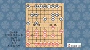 《中国象棋》第20200121期2019年全国象棋个人赛第2轮,赵攀伟先负苗利明体育完整版视频在线观看爱奇艺