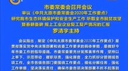  市委常委会 召开会议 罗清宇主持资讯搜索最新资讯爱奇艺