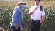 东方市长张长丰客串网络“主播”卖玉米,15分钟成交300单!资讯搜索最新资讯爱奇艺