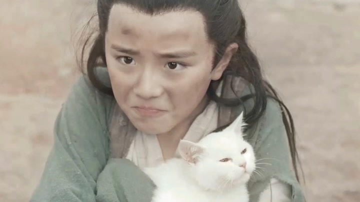 小乞丐救下一只流浪猫,意外发现它是九尾灵猫,一部奇幻爱情电影